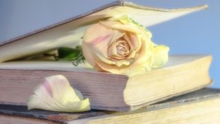 悟り人 エックハルト トールの教えと名言 あるがままに生きるリリのblog 悟り人 エックハルト トールの教えと名言 あるがままに生きるリリのblog