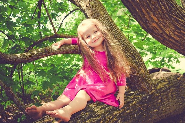 木に登る少女